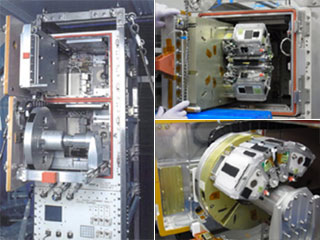 KIBO Space Mouse Experiment Published on Scientific Reports