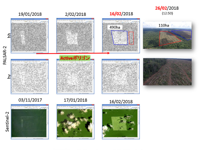 JJ-FAST stops deforestation first time at rainy season in Brazil!